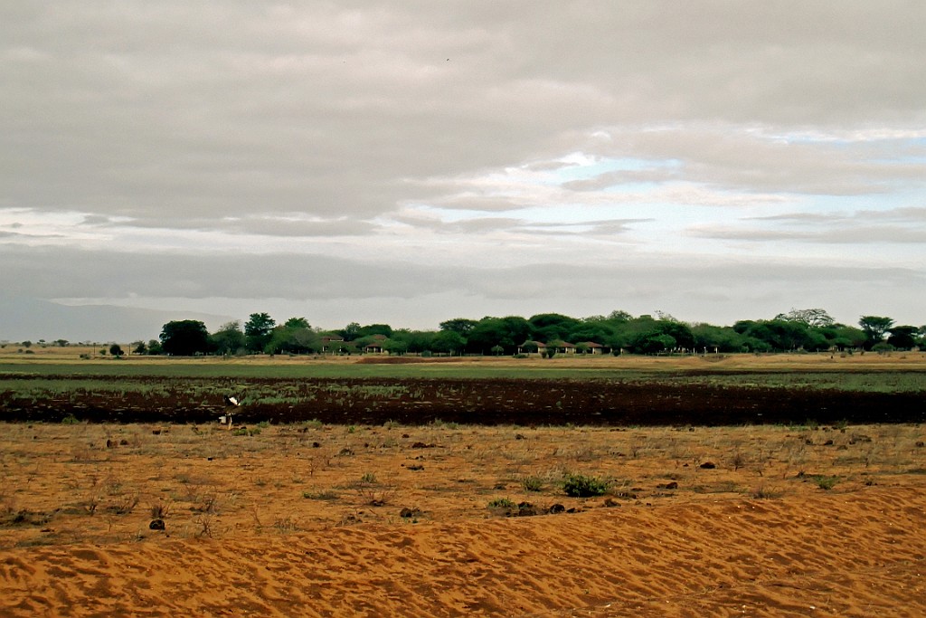 Kenia (428).jpg